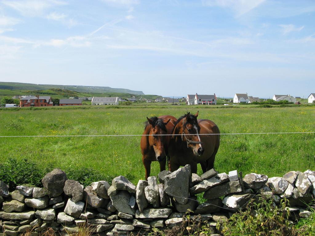 Nellie Dee'S Bed & Breakfast Doolin Exterior photo